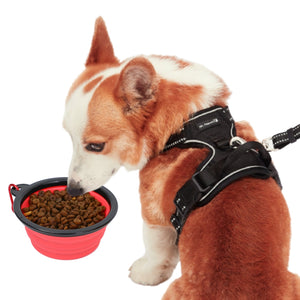 Collapsible Silicone Travel Pet Bowls | Airline Approved - Rover Ready Co