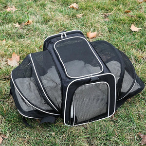 Sleek Under Seat Pet Carrier for Plane Cabin | Airline Approved - Rover Ready Co