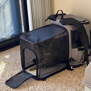 Expandable Dog Carrier Backpack for Travel & Hands-Free Comfort shown with mesh ventilation and a small dog inside, designed for airline-fit guidance and stress-free pet travel.