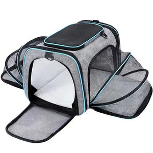 Sleek Under Seat Pet Carrier for Plane Cabin | Airline Approved - Rover Ready Co