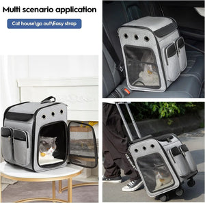 Pet carrier with multiple uses including car seat, table, and suitcase.