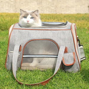 Luxury Pet Travel Backpack for Plane Cabin | Hands - Free | Airline Approved - Rover Ready Co