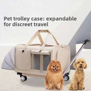 Airline Approved Rolling Dog Carrier with Wheels in beige with extendable sides beside two small dogs, designed for airline travel compliance and stress-free pet transport.