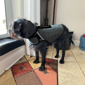 Calming Anxiety Vest for Dogs — Thunderstorm & Travel Wrap - Rover Ready Co
