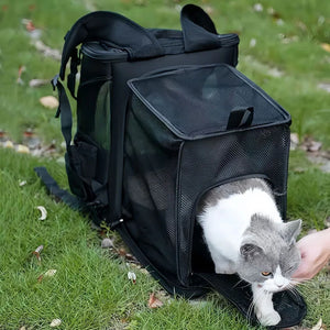 Expandable Dog Carrier Backpack for Travel & Hands-Free Comfort shown outdoors with a pet emerging, highlighting its airline-approved design and Rover Ready travel gear features.
