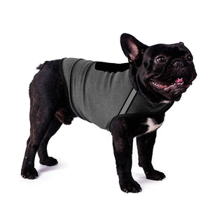Calming Anxiety Vest for Dogs — Thunderstorm & Travel Wrap - Rover Ready Co