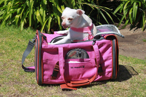 Mr. Peanut's Gold Series Standard Size Airline Compliant Pet Carrier - Rover Ready Co