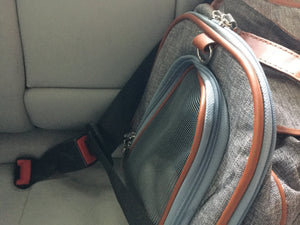 Mr. Peanut's Gold Series Big Apple XL Pet Carrier V2.0 - Rover Ready Co