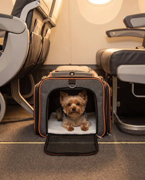 Expandable Dog Carrier for Plane Cabin | Dual Expansion | TSA - friendly - Rover Ready Co