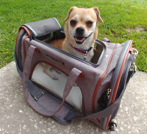 Mr. Peanut's Gold Series Standard Size Airline Compliant Pet Carrier - Rover Ready Co