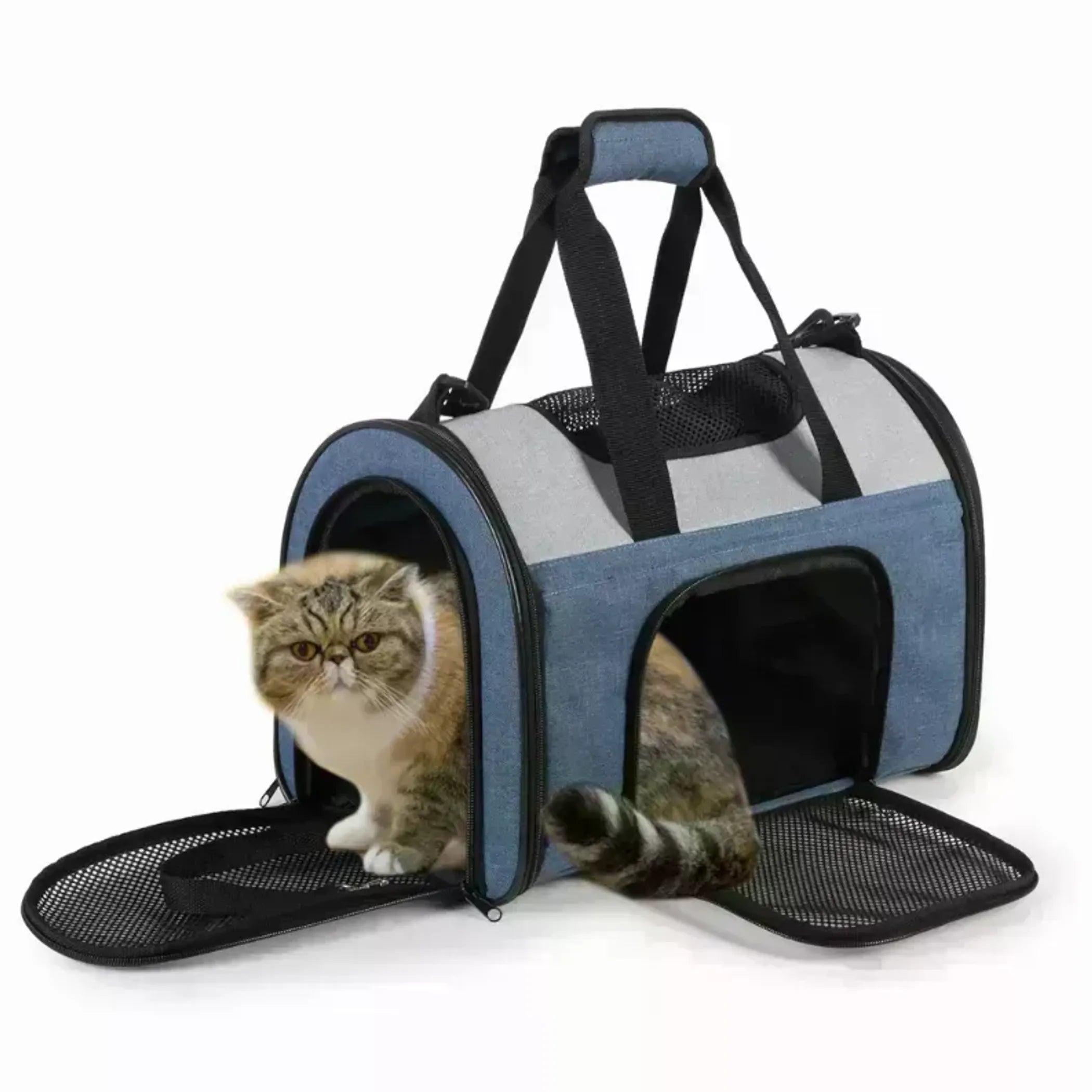 7 Best Features of the JESPET Pet Carrier for Safe Travel - Rover Ready Co