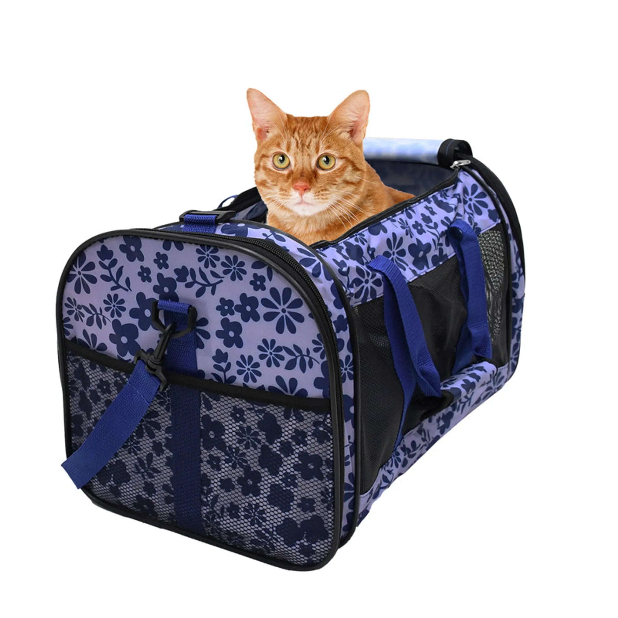 10 Best Travel Dog Carriers for Safe and Stylish Journeys - Rover Ready Co