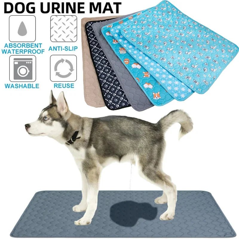 10 Expert Tips to Manage and Prevent Dog Pee Problems - Rover Ready Co