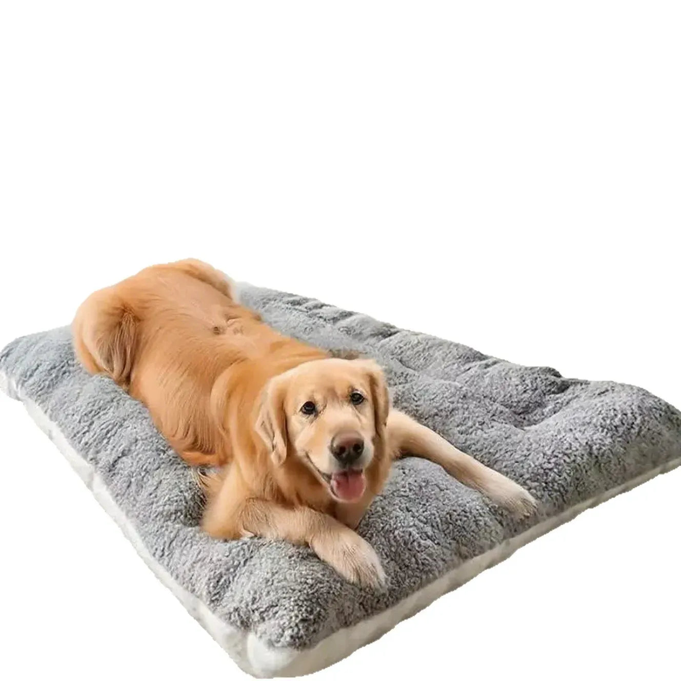 Thunder Shirt Dog Anxiety Relief and Usage Guide for Effective Calming