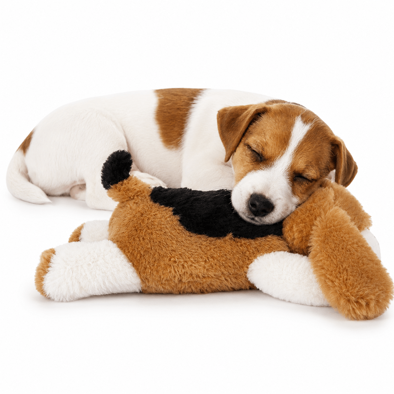 Calming Heartbeat Plush Toy for Anxious Dogs & Puppies - Rover Ready Co