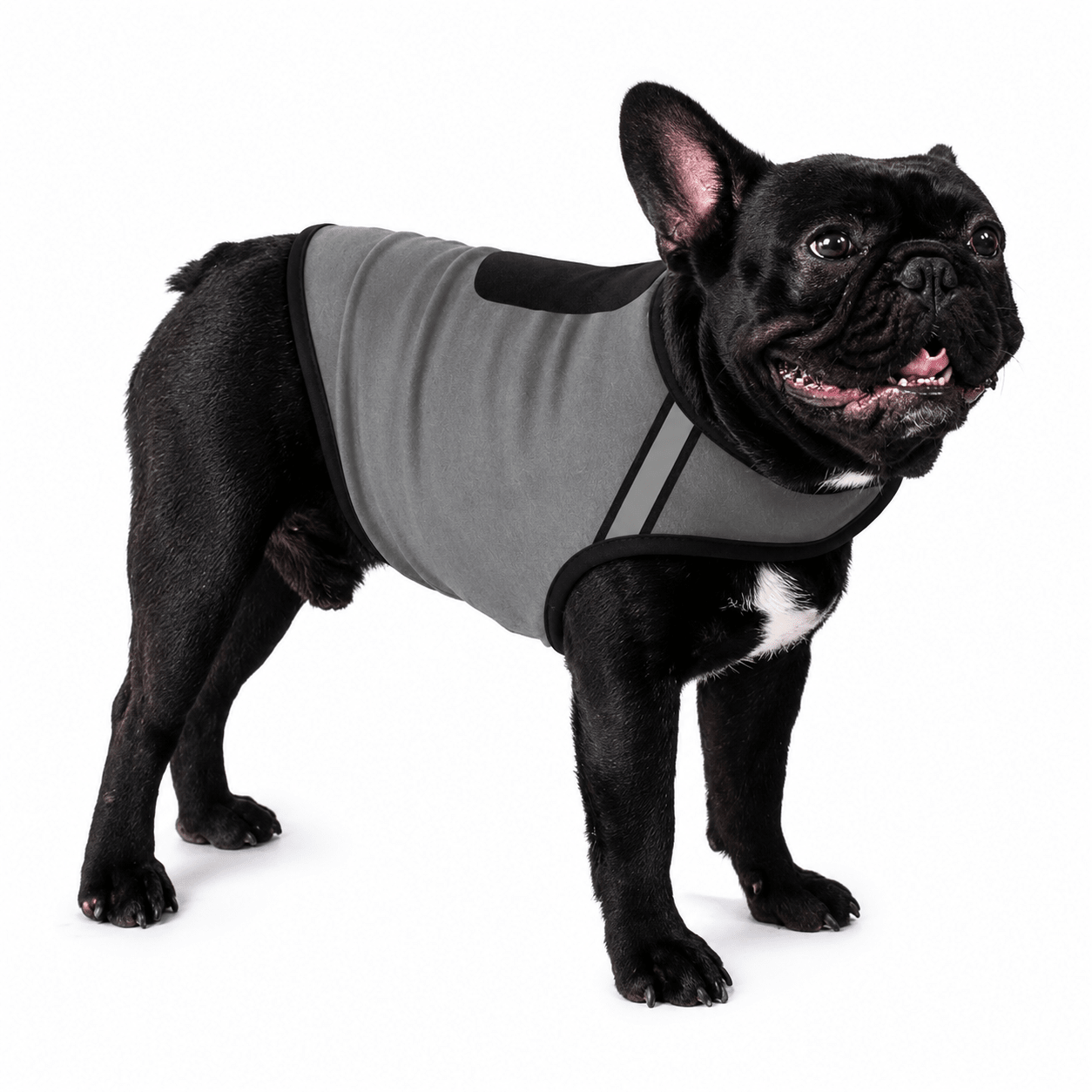 Calming Anxiety Vest for Dogs — Thunderstorm & Travel Wrap - Rover Ready Co