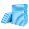 Disposable Dog Pee Pads for Travel | Leak - Proof | Bamboo Charcoal - Rover Ready Co