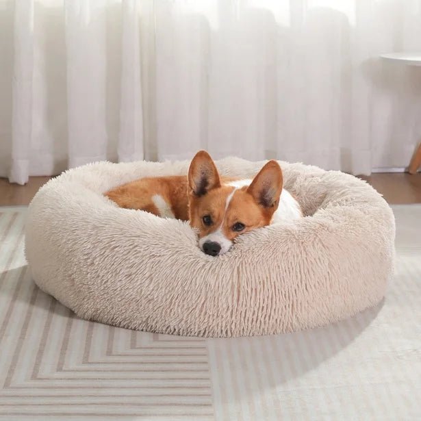 Calming Donut Dog Bed — Fluffy Plush, Washable - Rover Ready Co