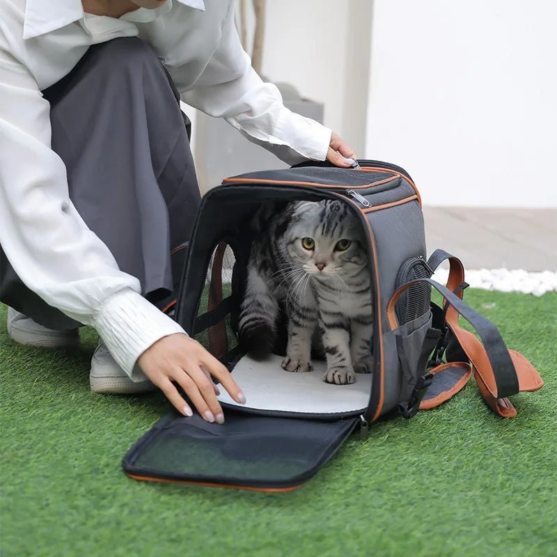 Luxury Pet Travel Backpack for Plane Cabin | Hands - Free | Airline Approved - Rover Ready Co