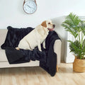 Double-sided flannel and sherpa waterproof pet blanket for furniture protection