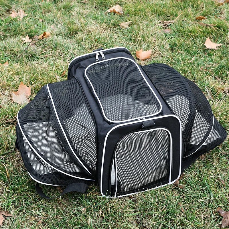 Sleek Under Seat Pet Carrier for Plane Cabin | Airline Approved - Rover Ready Co
