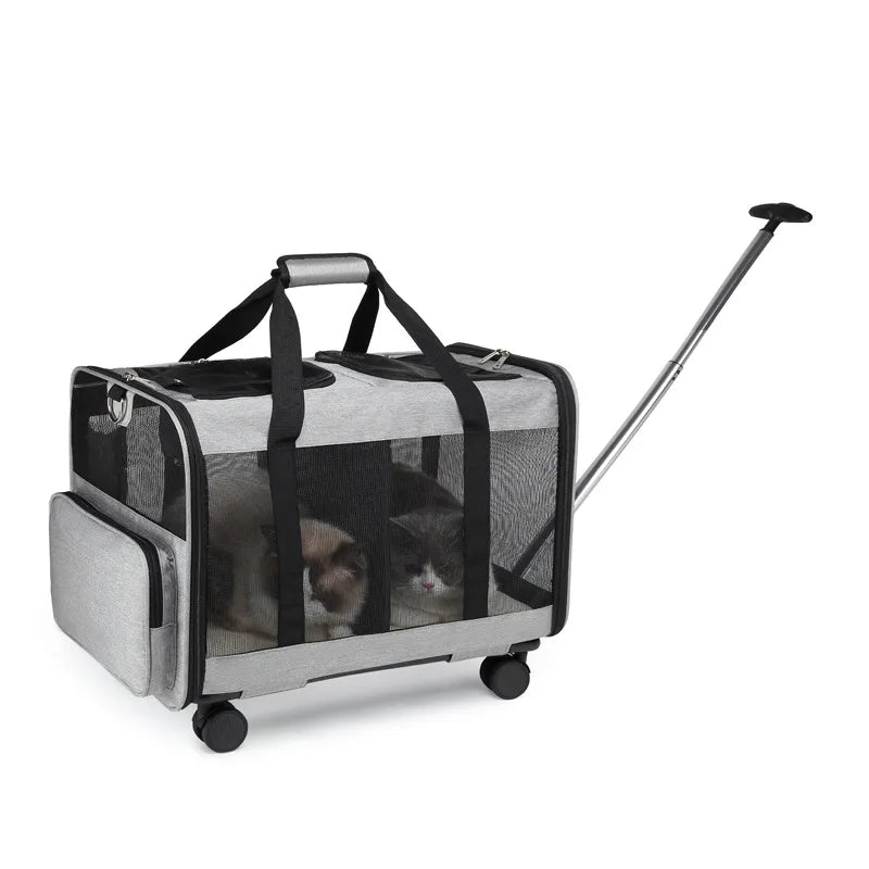 Pet carrier with wheels and a handle on a white background