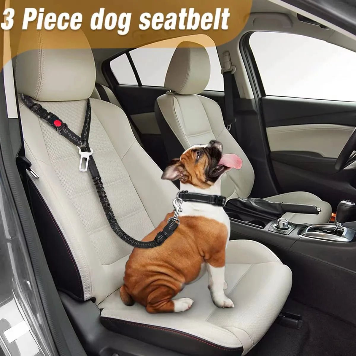 Reflective Dog Safety Seat Belt | Adjustable | Quick Release - Rover Ready Co