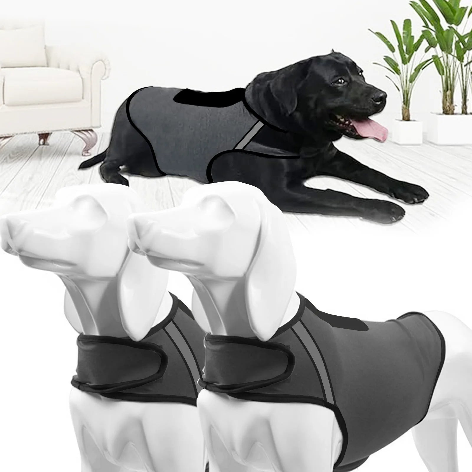 Calming Anxiety Vest for Dogs — Thunderstorm & Travel Wrap - Rover Ready Co