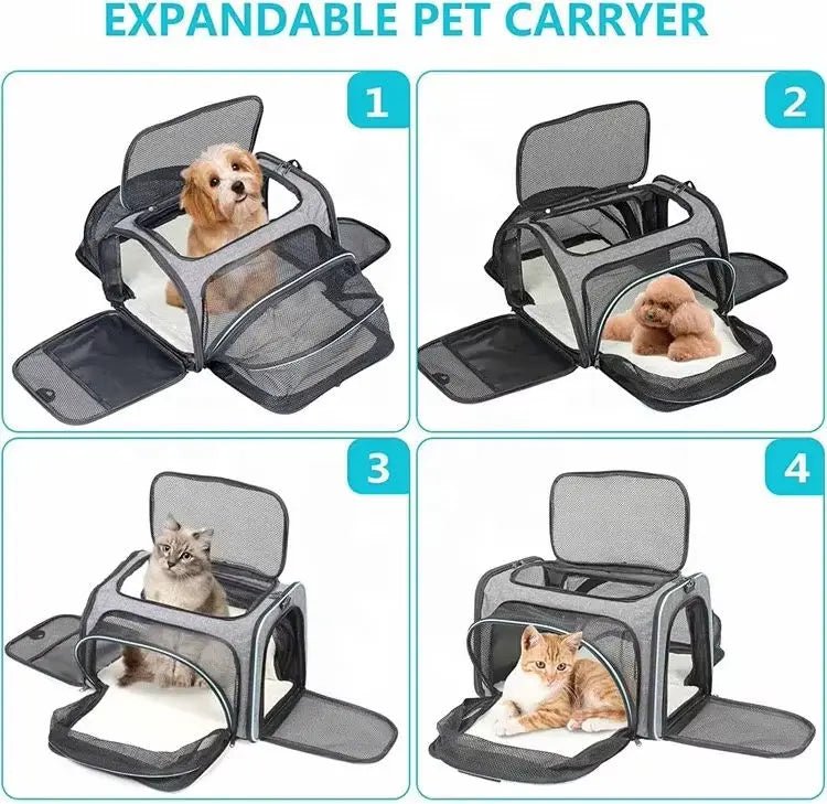Sleek Under Seat Pet Carrier for Plane Cabin | Airline Approved - Rover Ready Co