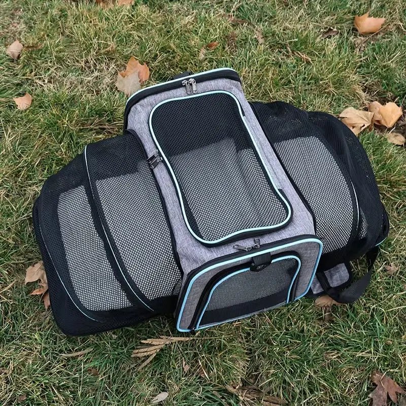Sleek Under Seat Pet Carrier for Plane Cabin | Airline Approved - Rover Ready Co