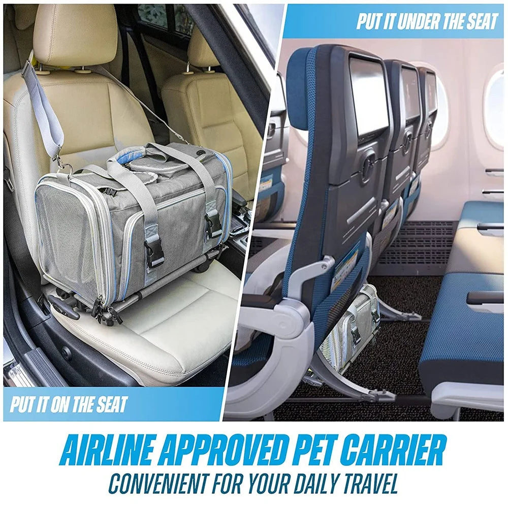 Airline approved pet carrier shown in a car and airplane interior.