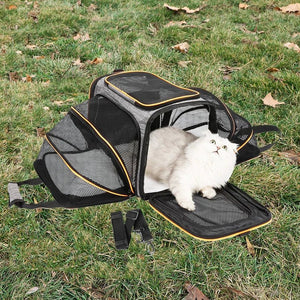 Sleek Under Seat Pet Carrier for Plane Cabin | Airline Approved - Rover Ready Co
