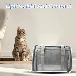 Large Capacity Airline Approved Dog Carrier for Travel in light gray with mesh panels, designed for cats and dogs, emphasizing lightweight and compact airline-fit travel gear.