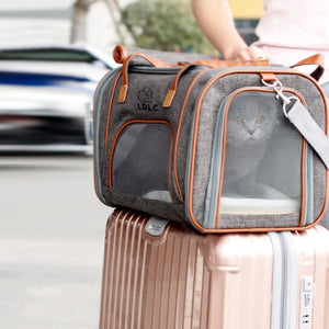 Pet carrier with a cat inside on top of a suitcase, with a blurred background