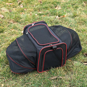 Sleek Under Seat Pet Carrier for Plane Cabin | Airline Approved - Rover Ready Co