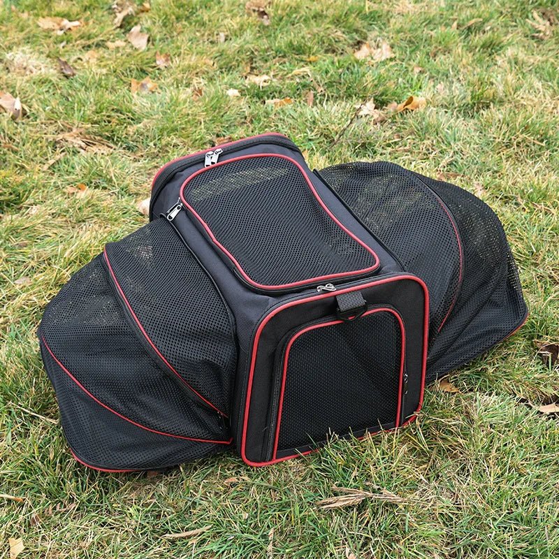 Sleek Under Seat Pet Carrier for Plane Cabin | Airline Approved - Rover Ready Co