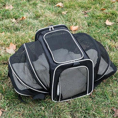 Sleek Under Seat Pet Carrier for Plane Cabin | Airline Approved - Rover Ready Co