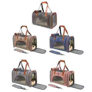 Set of five pet carriers in different colors on a white background