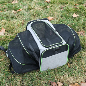 Sleek Under Seat Pet Carrier for Plane Cabin | Airline Approved - Rover Ready Co