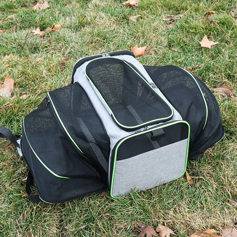 Sleek Under Seat Pet Carrier for Plane Cabin | Airline Approved - Rover Ready Co