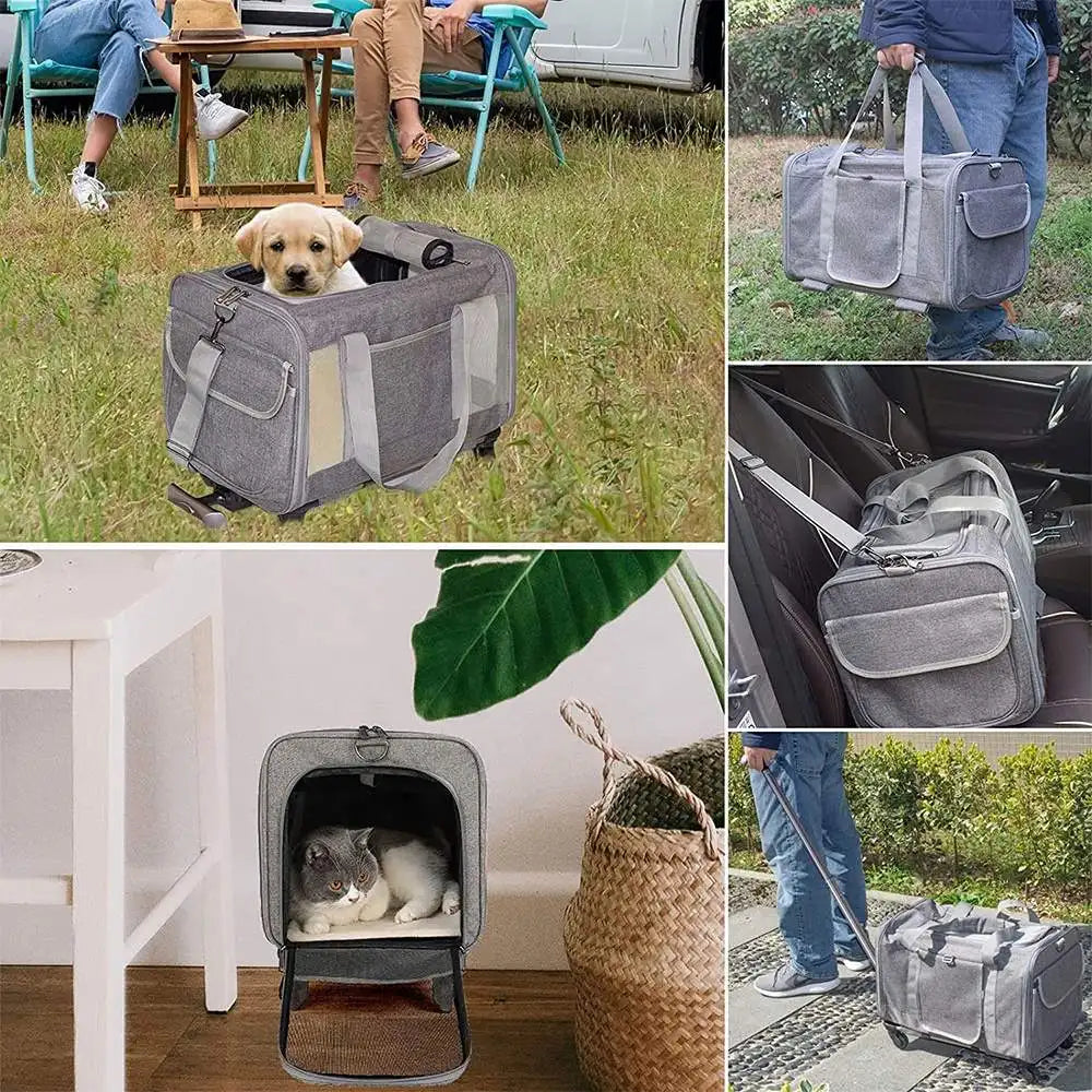 Collage of a gray pet carrier being used outdoors and indoors with pets inside.