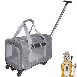 Gray pet carrier with wheels on a white background