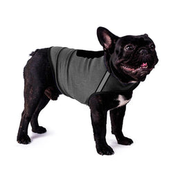 Calming Anxiety Vest for Dogs — Thunderstorm & Travel Wrap - Rover Ready Co