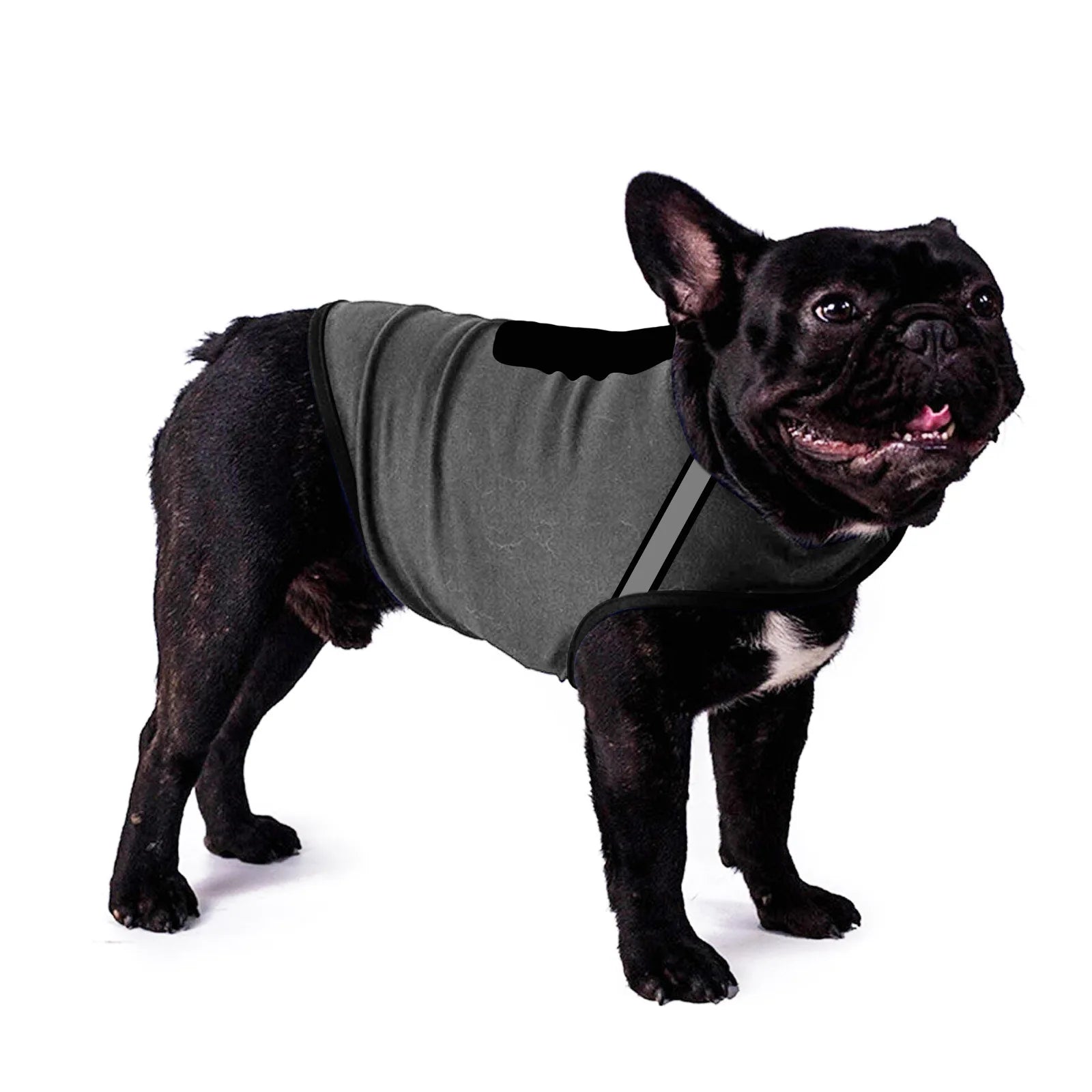 Calming Anxiety Vest for Dogs — Thunderstorm & Travel Wrap - Rover Ready Co
