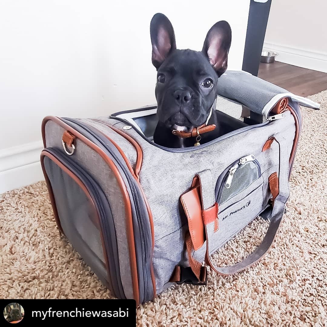 Mr. Peanut's Gold Series Standard Size Airline Compliant Pet Carrier - Rover Ready Co