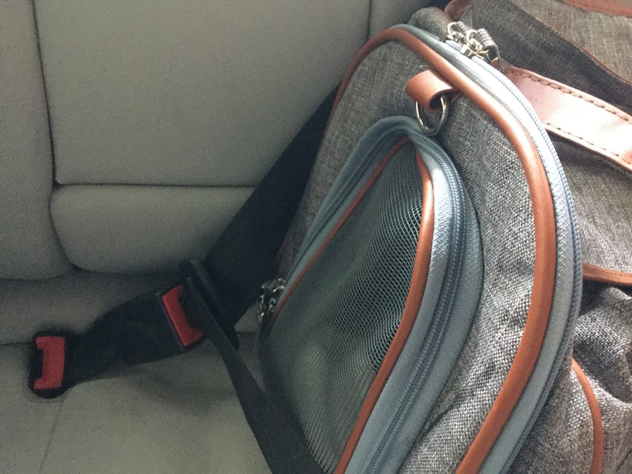 Mr. Peanut's Gold Series Big Apple XL Size Double Expandable Pet Carrier - Rover Ready Co
