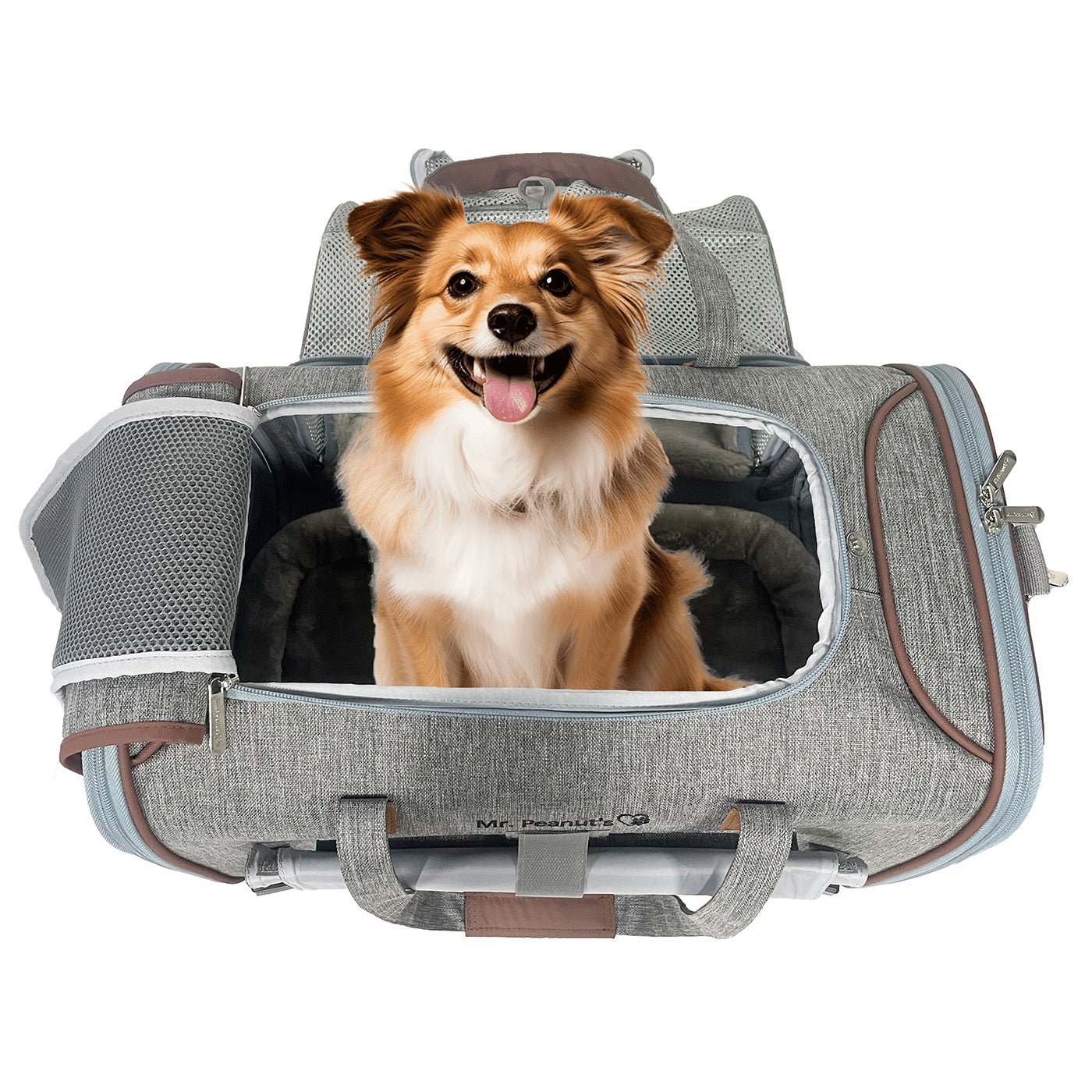 Mr. Peanut's Gold Series Standard Size Airline Compliant Expandable Pet Carrier V3.0 - Rover Ready Co