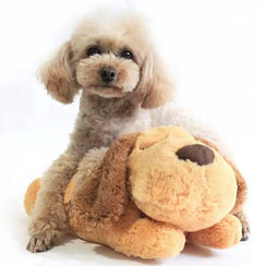 Calming Heartbeat Plush Toy for Anxious Dogs & Puppies - Rover Ready Co