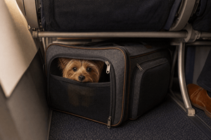 Mr. Peanut's Gold Series Standard Size Airline Compliant Expandable Pet Carrier V3.0 - Rover Ready Co