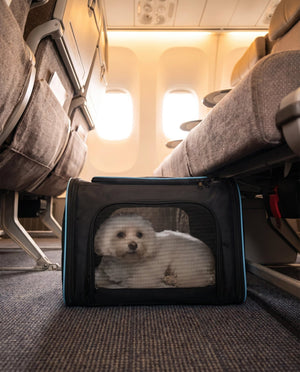 Sleek Under Seat Pet Carrier for Plane Cabin | Airline Approved - Rover Ready Co